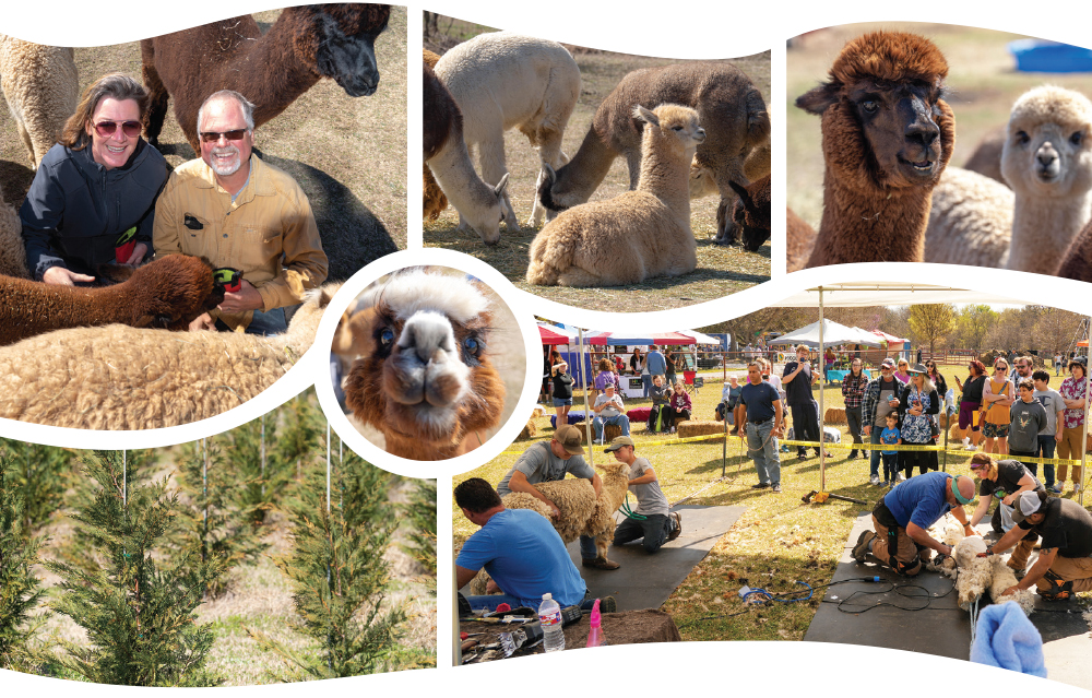 Annemick and Russell Foster. Photos by BRIAN ELLEDGE