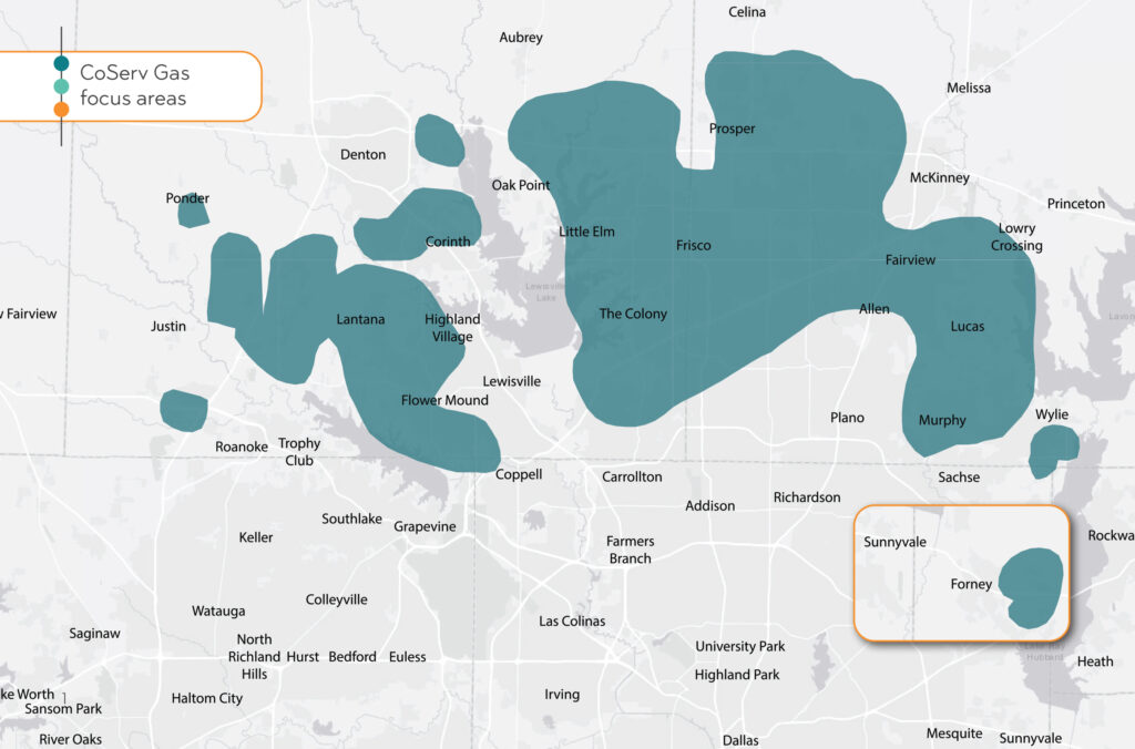 Developing with CoServ