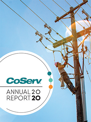 2020 Annual Report Download