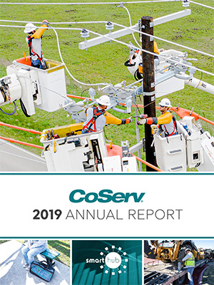 2019 Annual Report Download