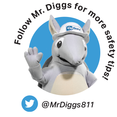 Follow Mr. Diggs