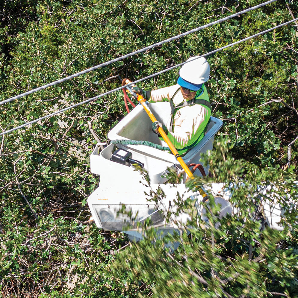 Tree trimming is an essential part of reliability. Photo by KEN OLTMANN