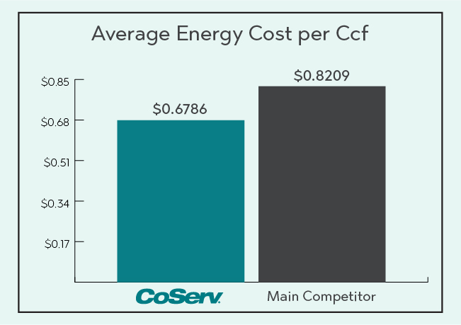 Coserv Electric And Gas Rebate