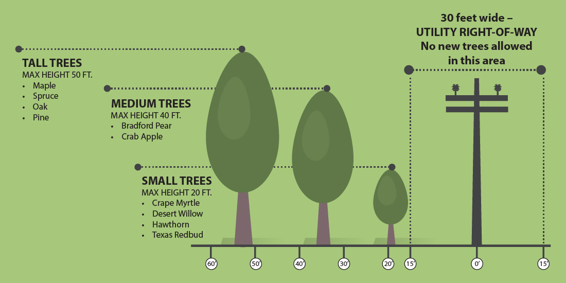 Homeowners, HOAs and businesses can help CoServ by following this tree planting guide.