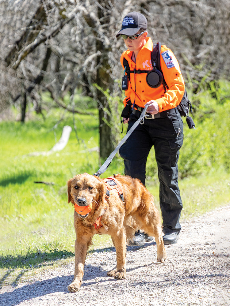 Search One Rescue trains the dogs on vacant land in Grapevine.