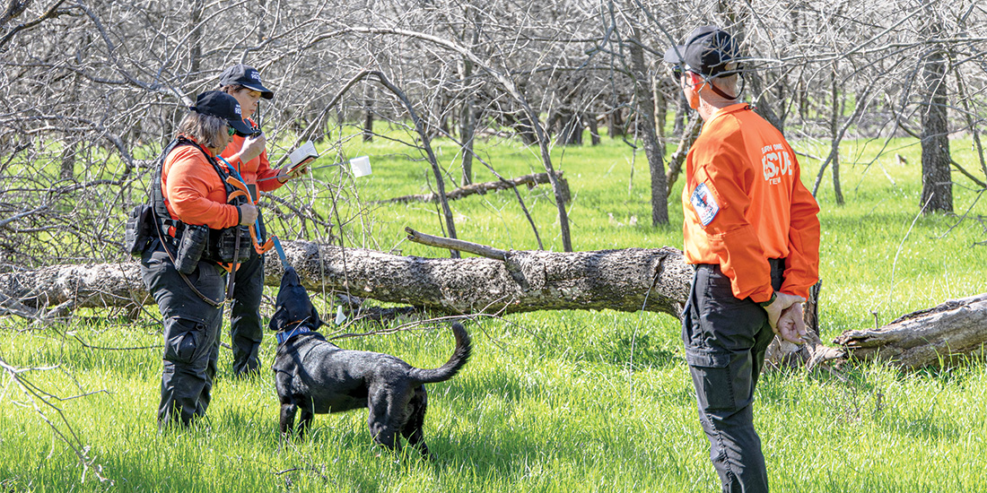 Snookie Tinnerman prepares to send Pax out to search for human remains in a training scenario. Photos by KEN OLTMANN