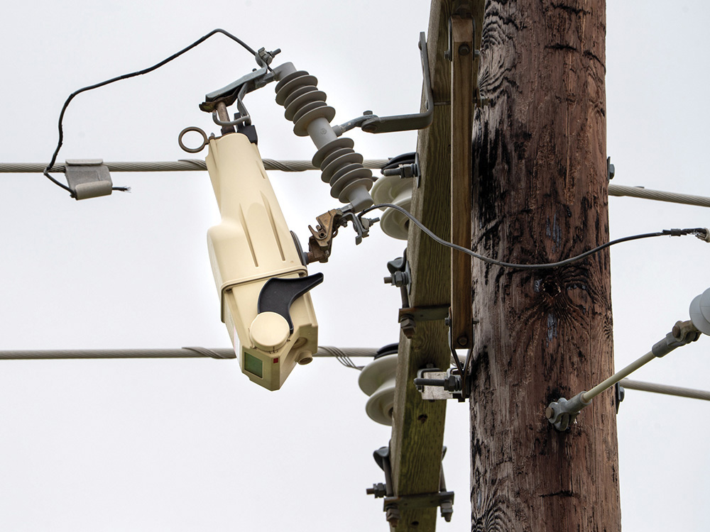 TripSaver® II Recloser on a line.