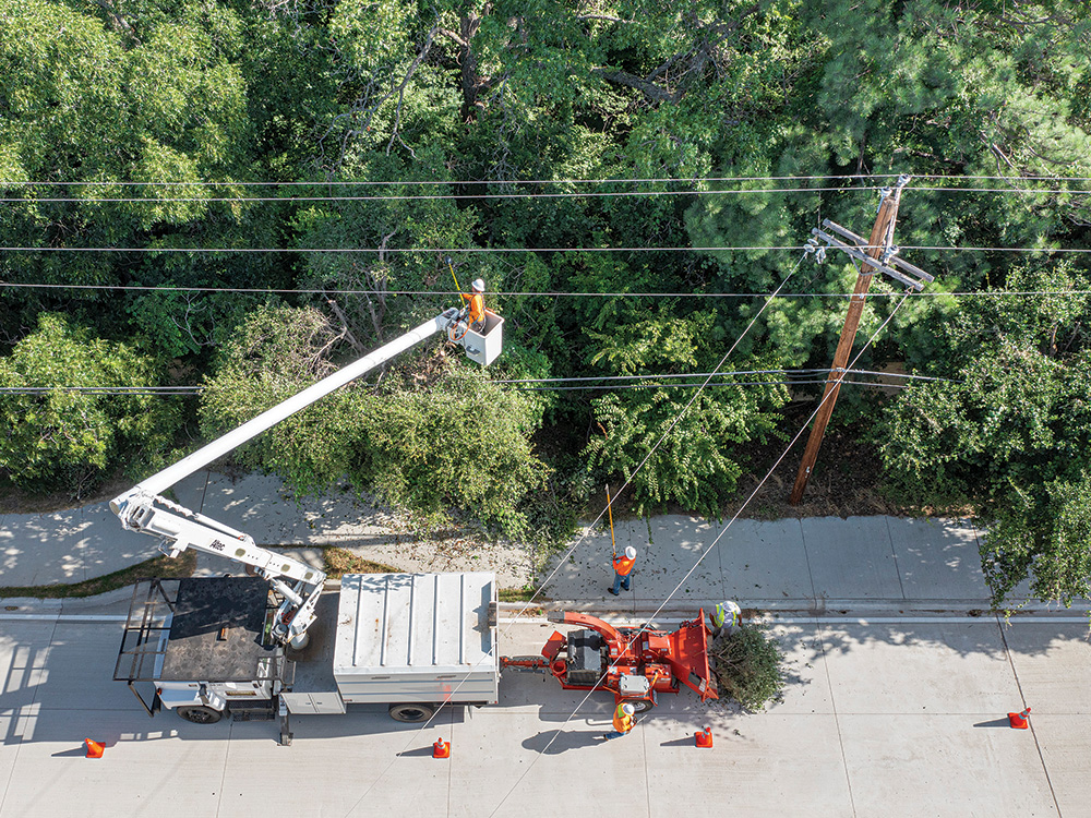 N: CoServ’s vegetation management team oversees contractor crews who trim trees to maintain reliability throughout the service area.