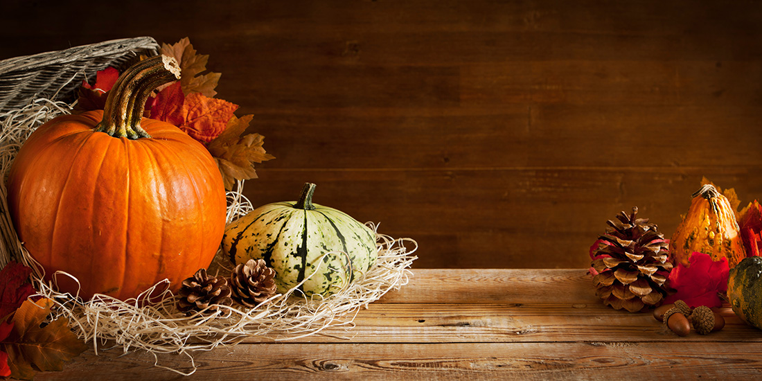 Stock.Adobe.com/Sara-Winter