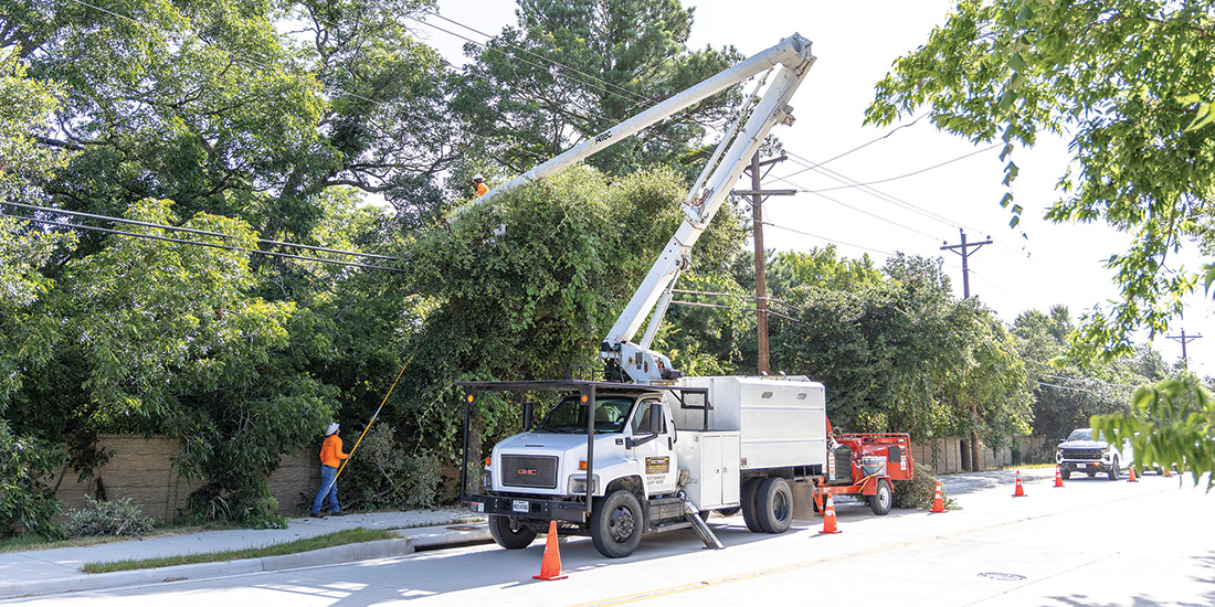 Tree Trimming (Vegetation Management) in Double Oak (Flower Mound border). Photos by KEN OLTMANN