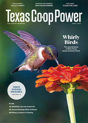 Read Texas Co-op Power