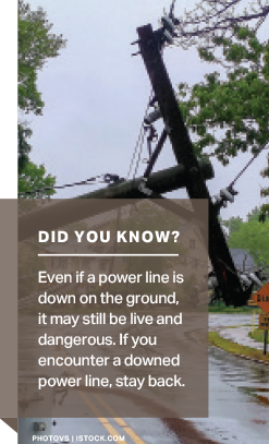 Did You Know? Even if a power line is down on the ground, it may still be live and dangerous. If you encounter a downed power line, stay back.