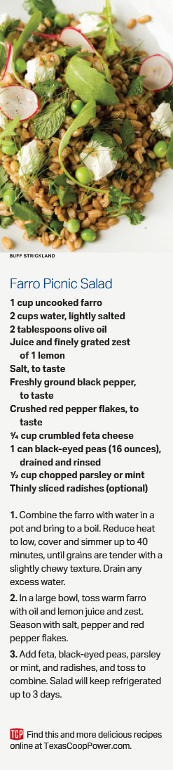 Farro Picnic Salad recipe