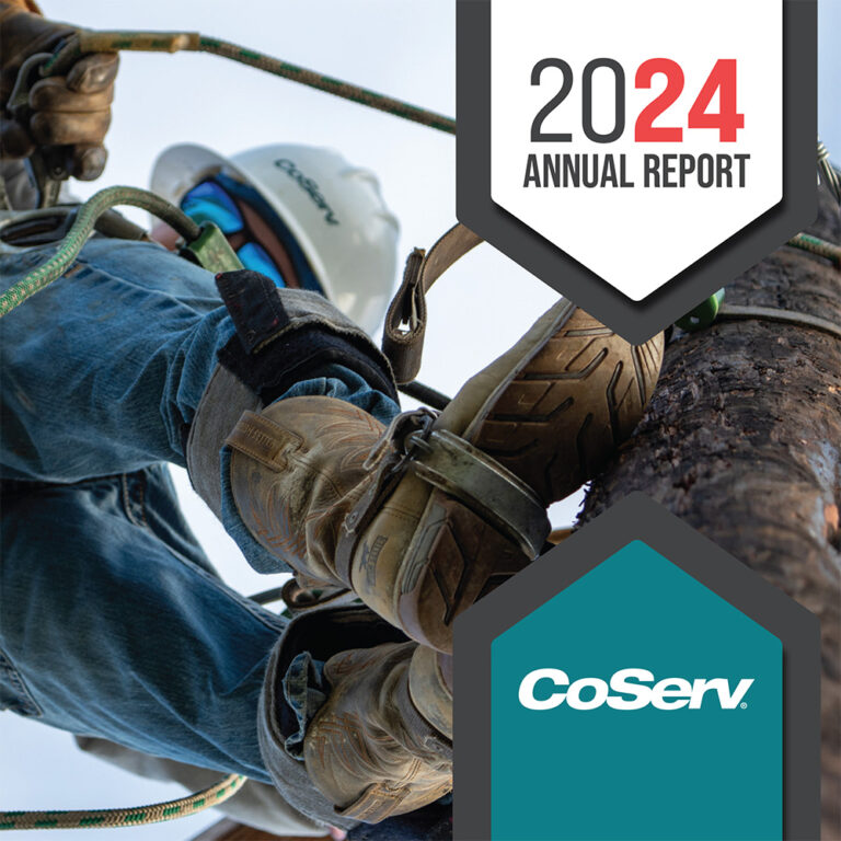 Annual-Report-2024_cover