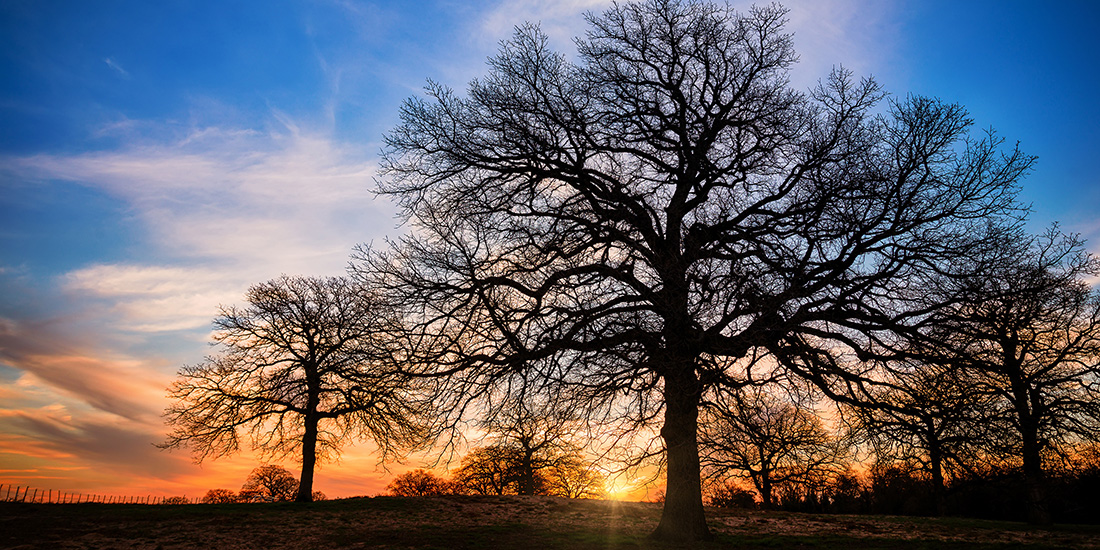 Stock.Adobe.com/leekris