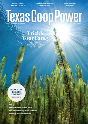 Read Texas Co-op Power