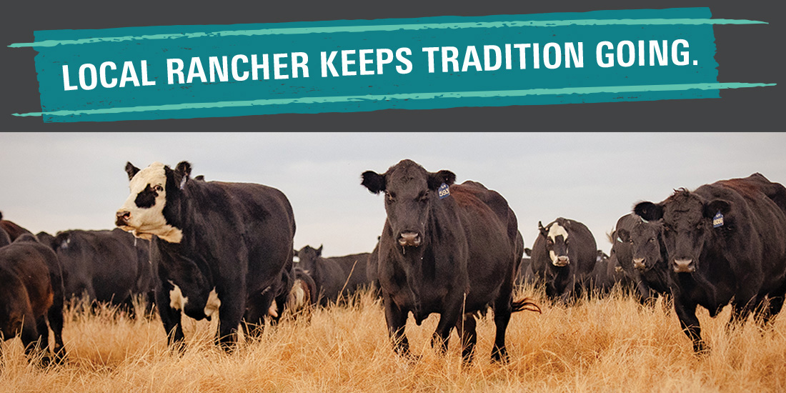 Cattle are herded across open pastureland during the annual roundup, a timeless ranch tradition. Photos by BRIAN ELLEDGE | CoServ