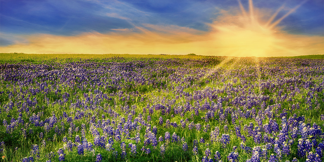 Stock.Adobe.com/leekris