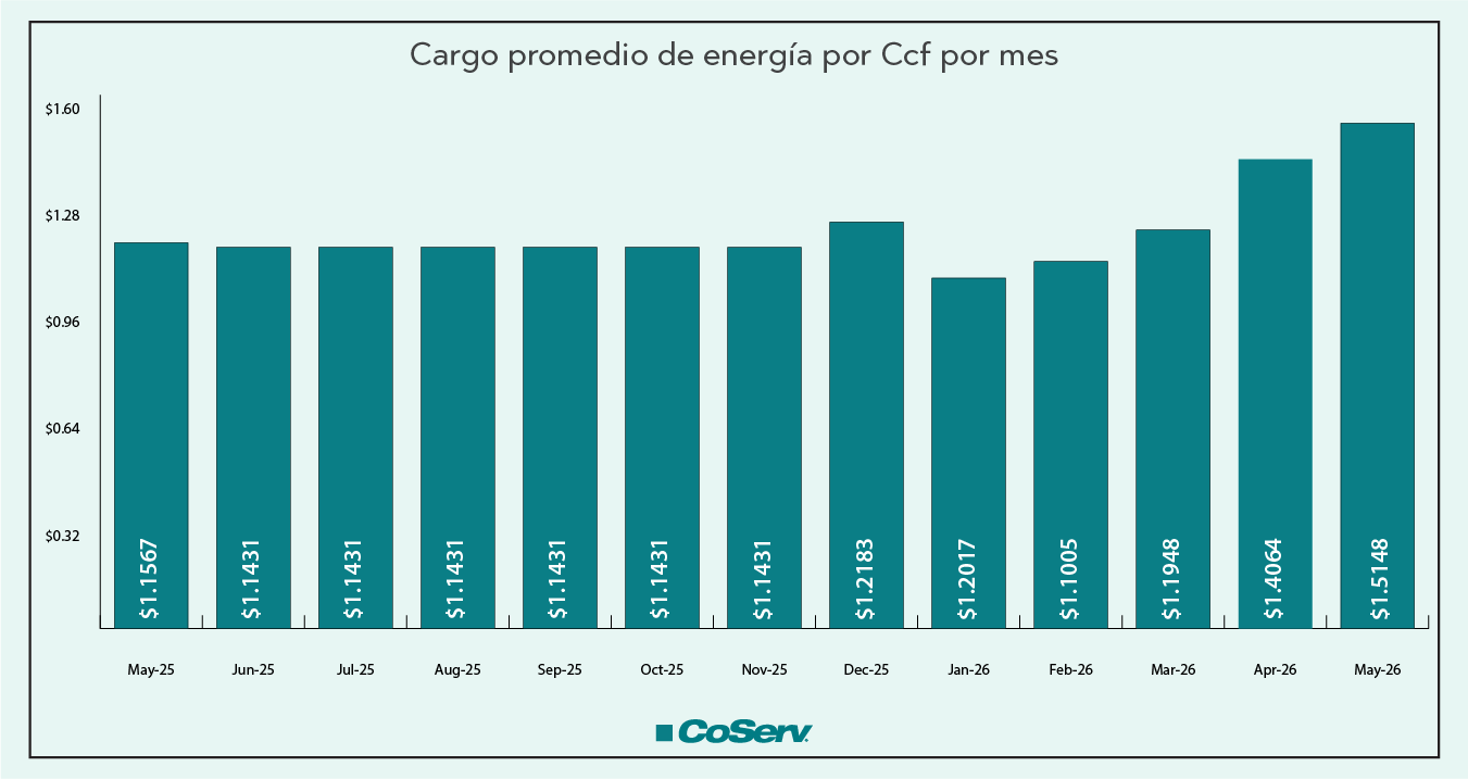 Cargo medio de energía por Ccf por mes