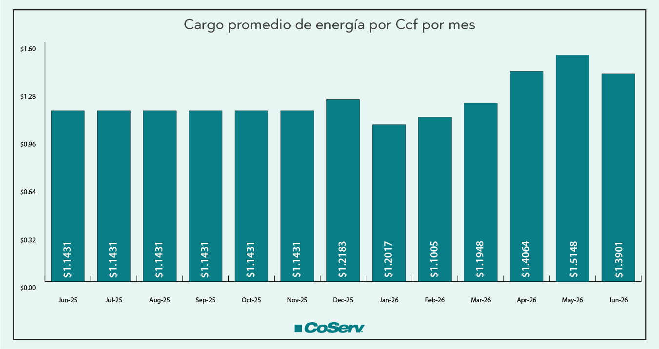 Cargo medio de energía por Ccf por mes