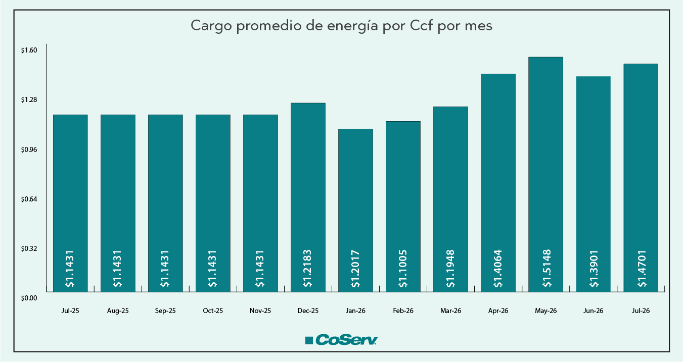 Cargo medio de energía por Ccf por mes