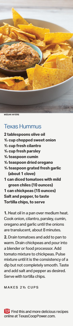 Texas Hummus Recipe