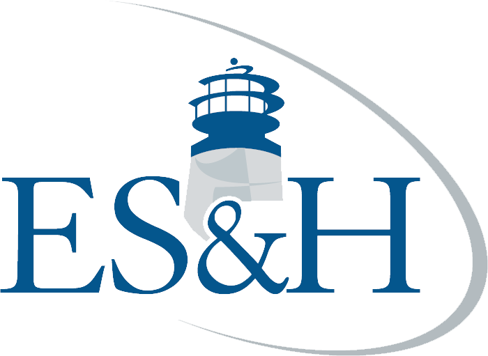 ES and H Logo
