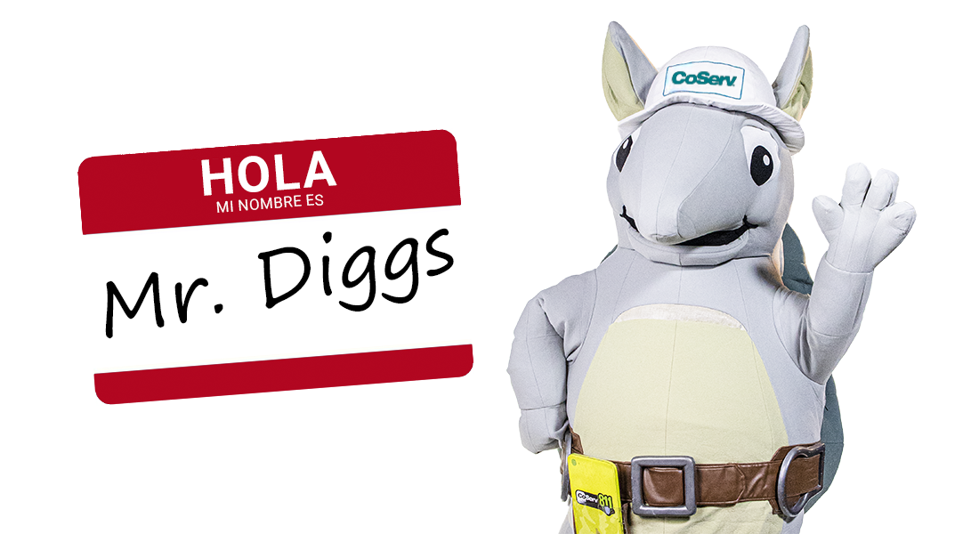 Hola, mi nombre es Mr. Diggs