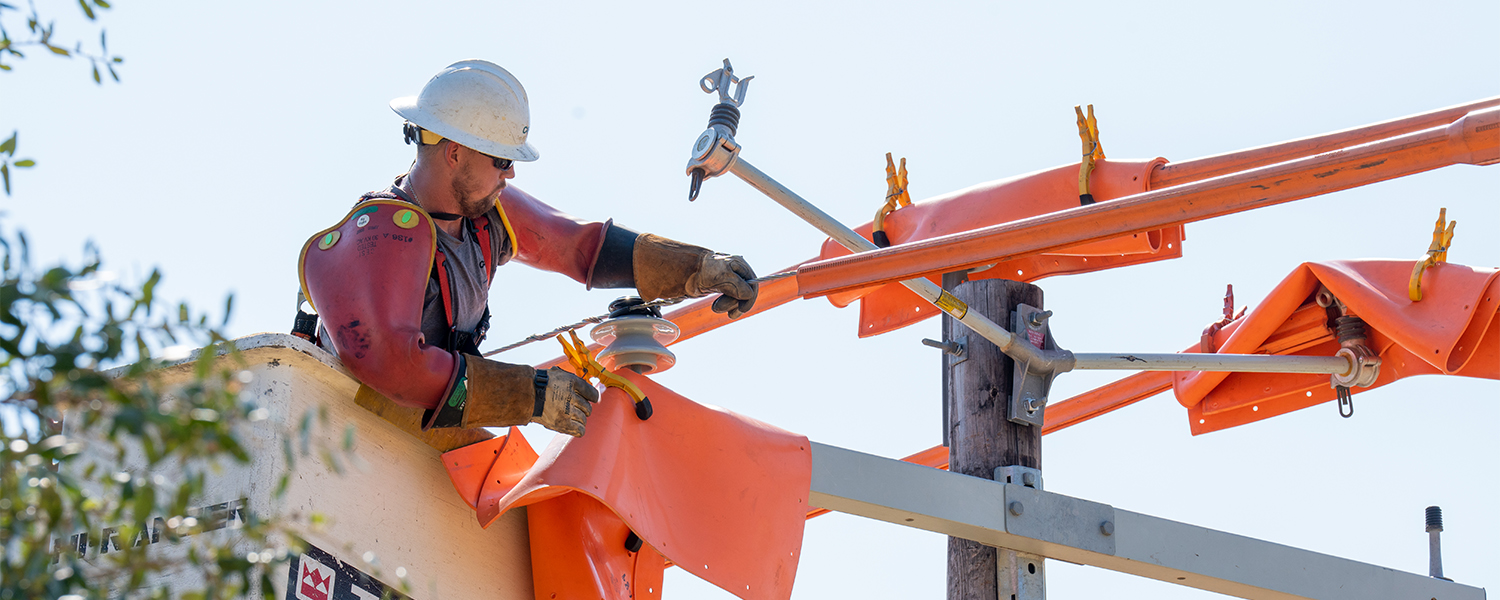 Lineman_DSC03138_1500px