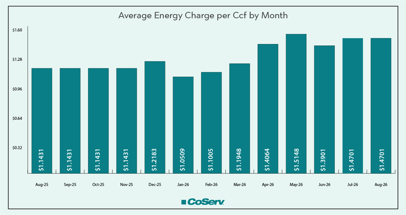 This bar chart illustrates the average energy charge per kWh over a 13‑month period from August 2025 through August 2026.
