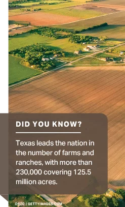 Did you know? Texas leads the nation in the number of farms and ranches, with more than 230,000 covering 125.5 million acres.