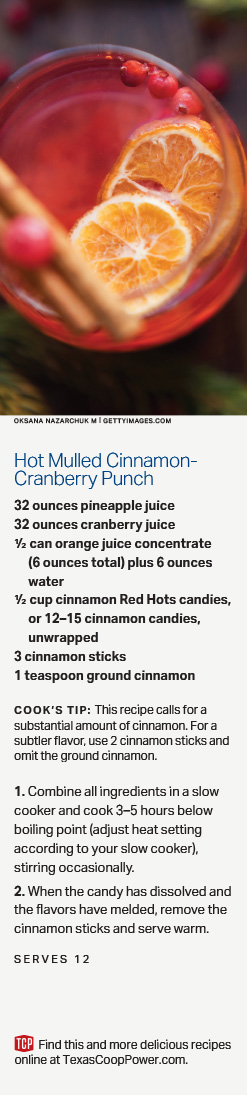 Hot Mulled Cinnamon-Cranberry Punch Recipe